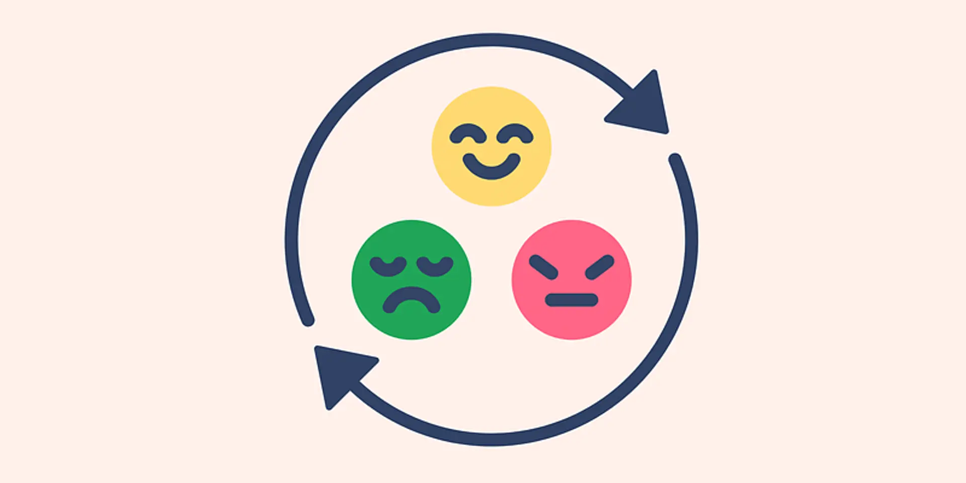 Cracking the code: Maximising ROI in B2C marketing with customer emotion insights