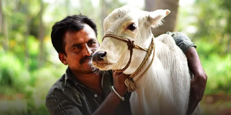 akshayakalpa