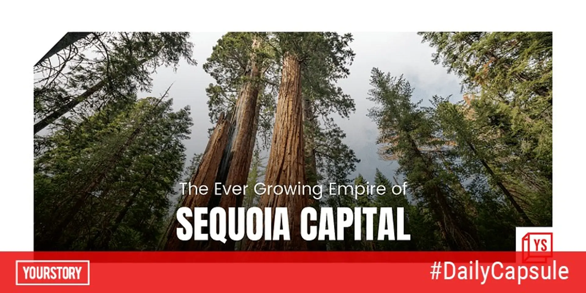 The ever-growing empire of Sequoia India