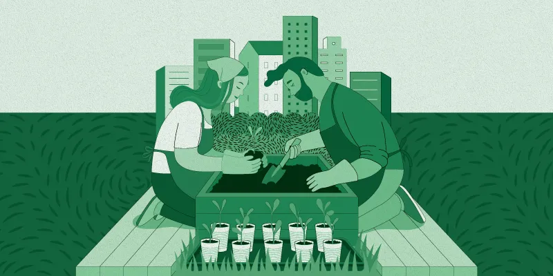 Urban farming