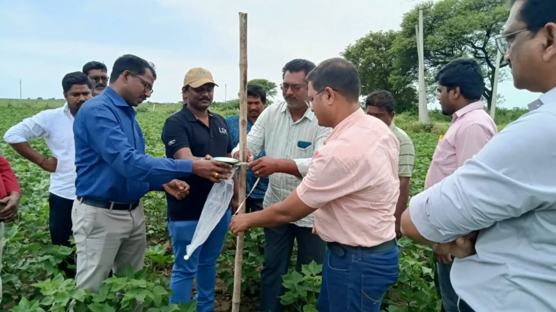 Google.org Invests $3.3M in Wadhwani AI's AI-Powered Pest Control Mission