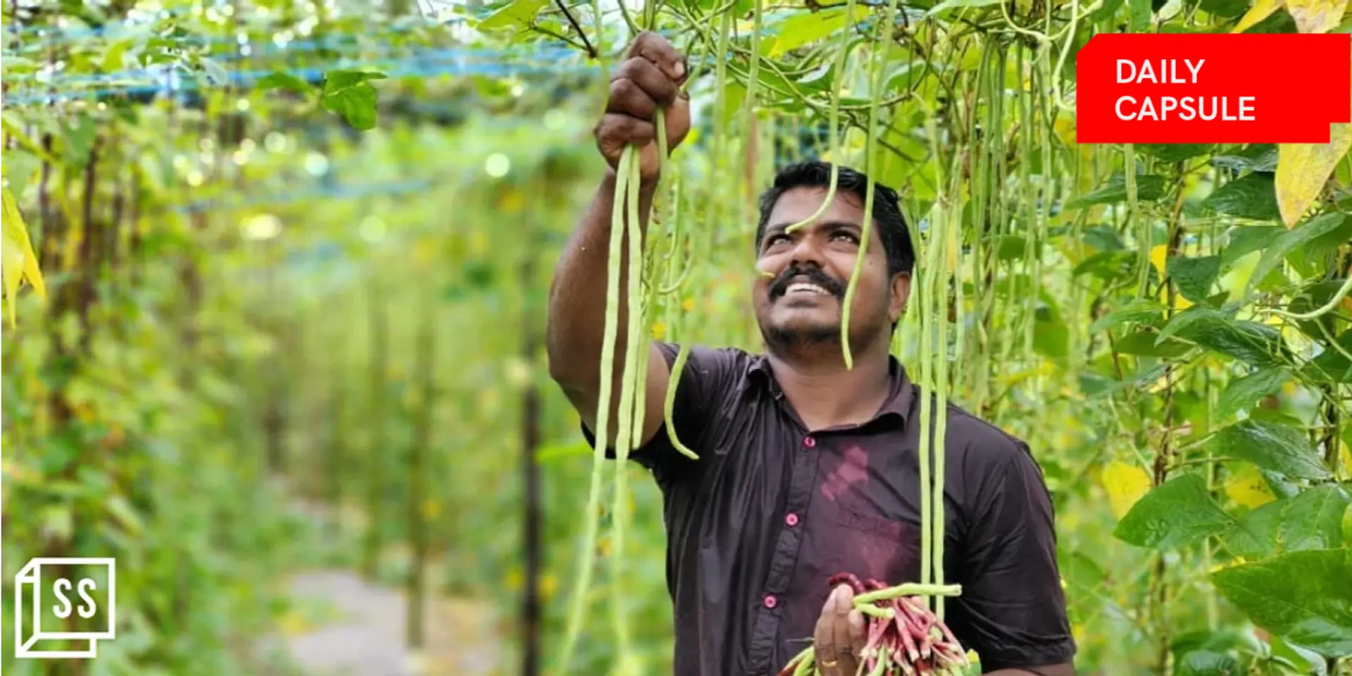 The benefits of organic farming