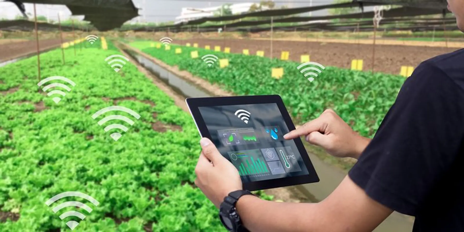 Govt launches satellite-based farm decision support system