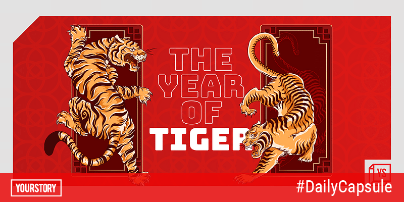 Year of the Tiger (Global)