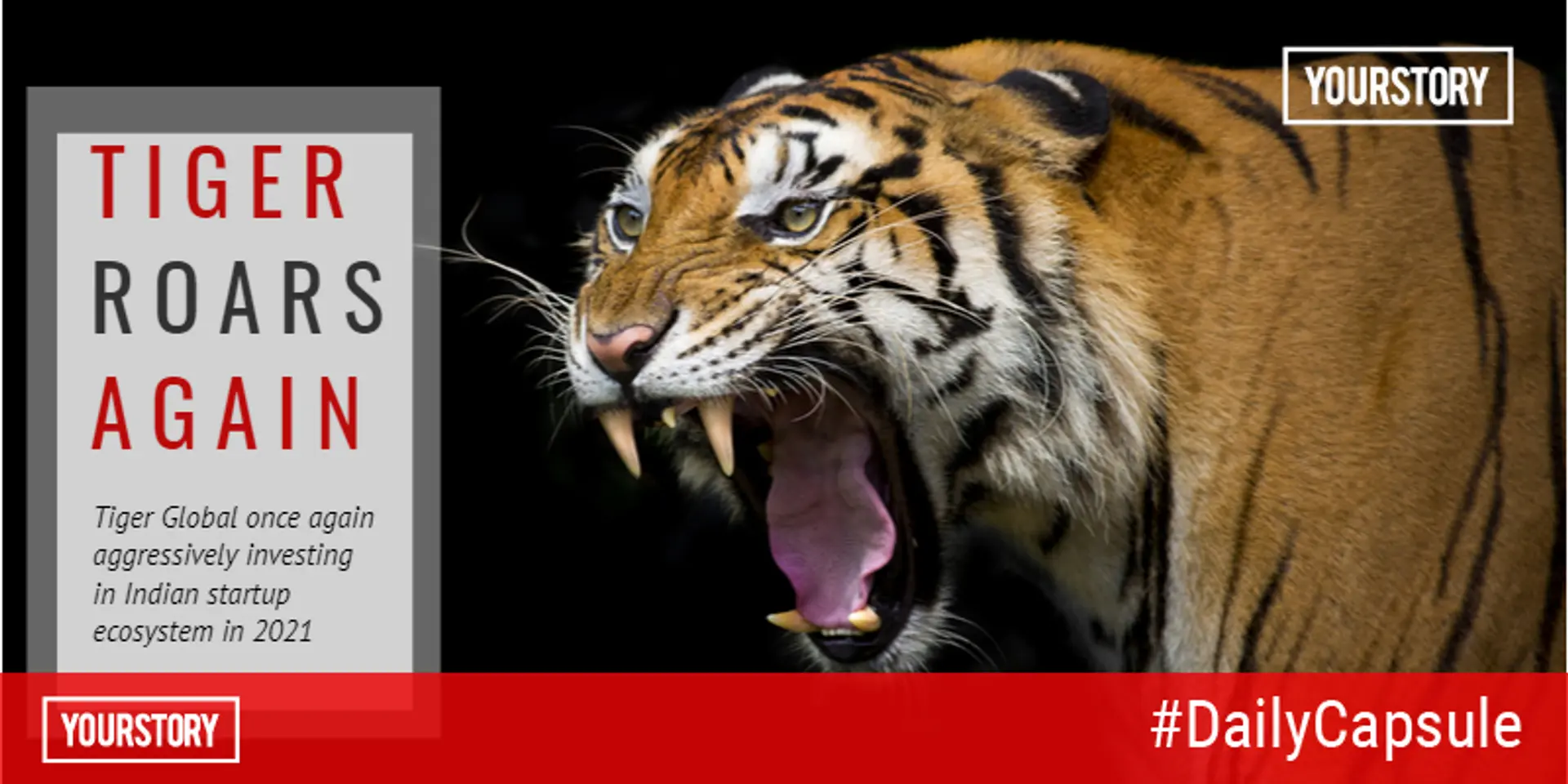 Tiger Global roaring in India once again