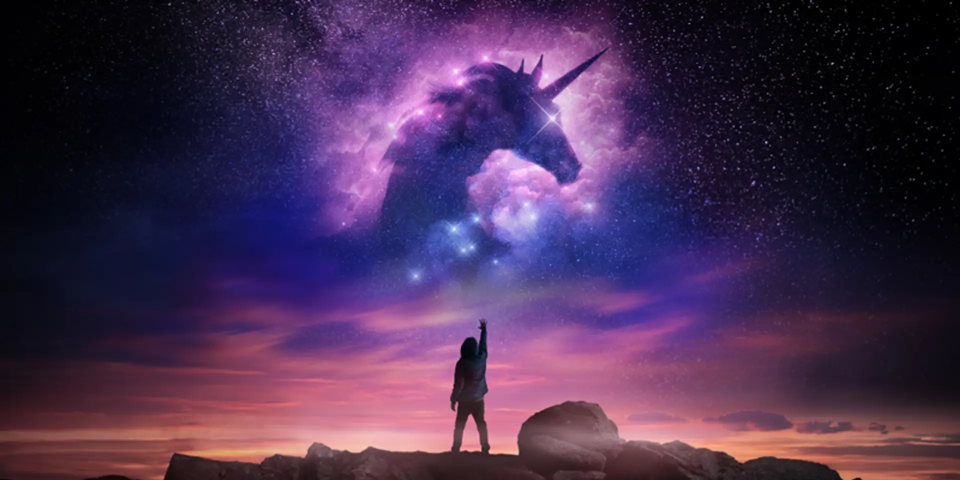 Unicorns of 2021: Mamaearth, GlobalBees latest to join unicorn club