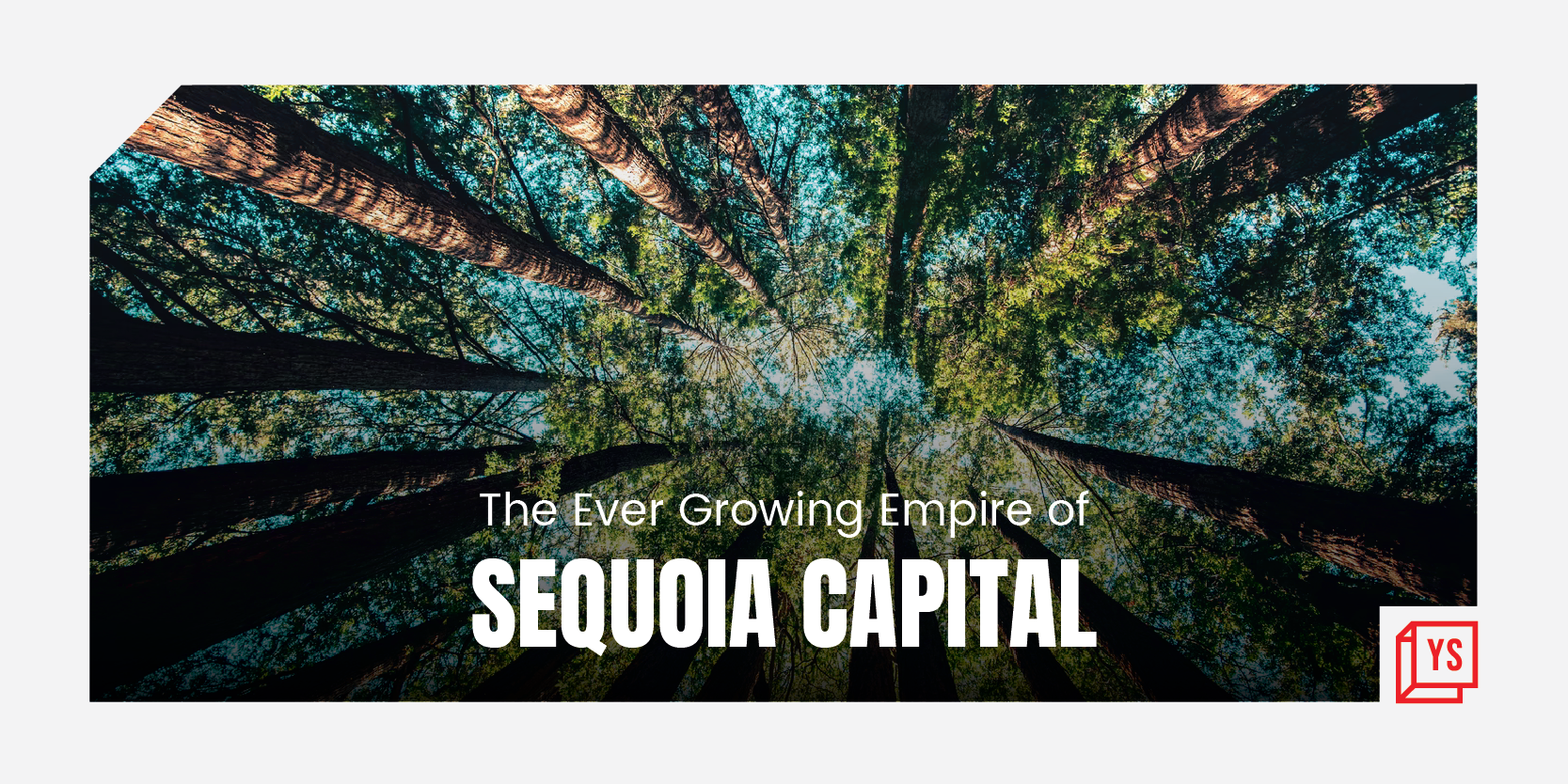 $4.35 billion, 74 deals: After a stellar 2021, how does 2022 look for Sequoia India?