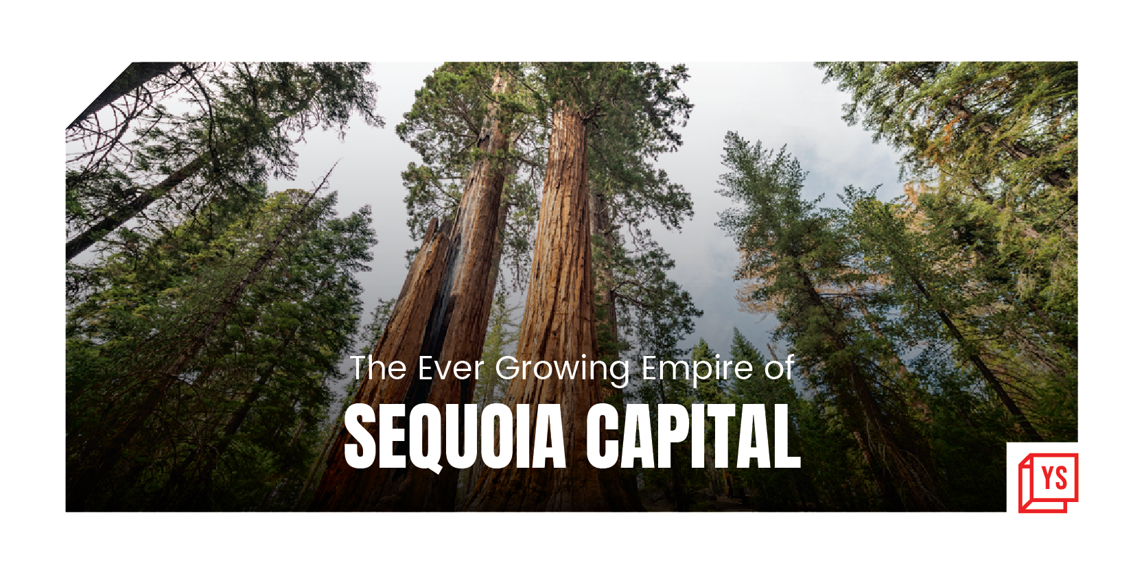 Sequoia Capital's India, SEA ventures raise $2.85B across a set of funds