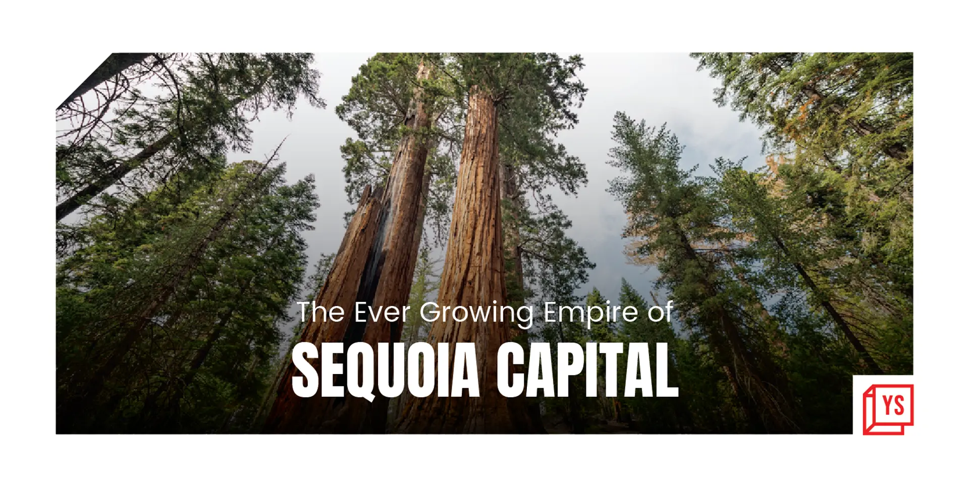 Sequoia Capital's India, SEA ventures raise $2.85B across a set of funds