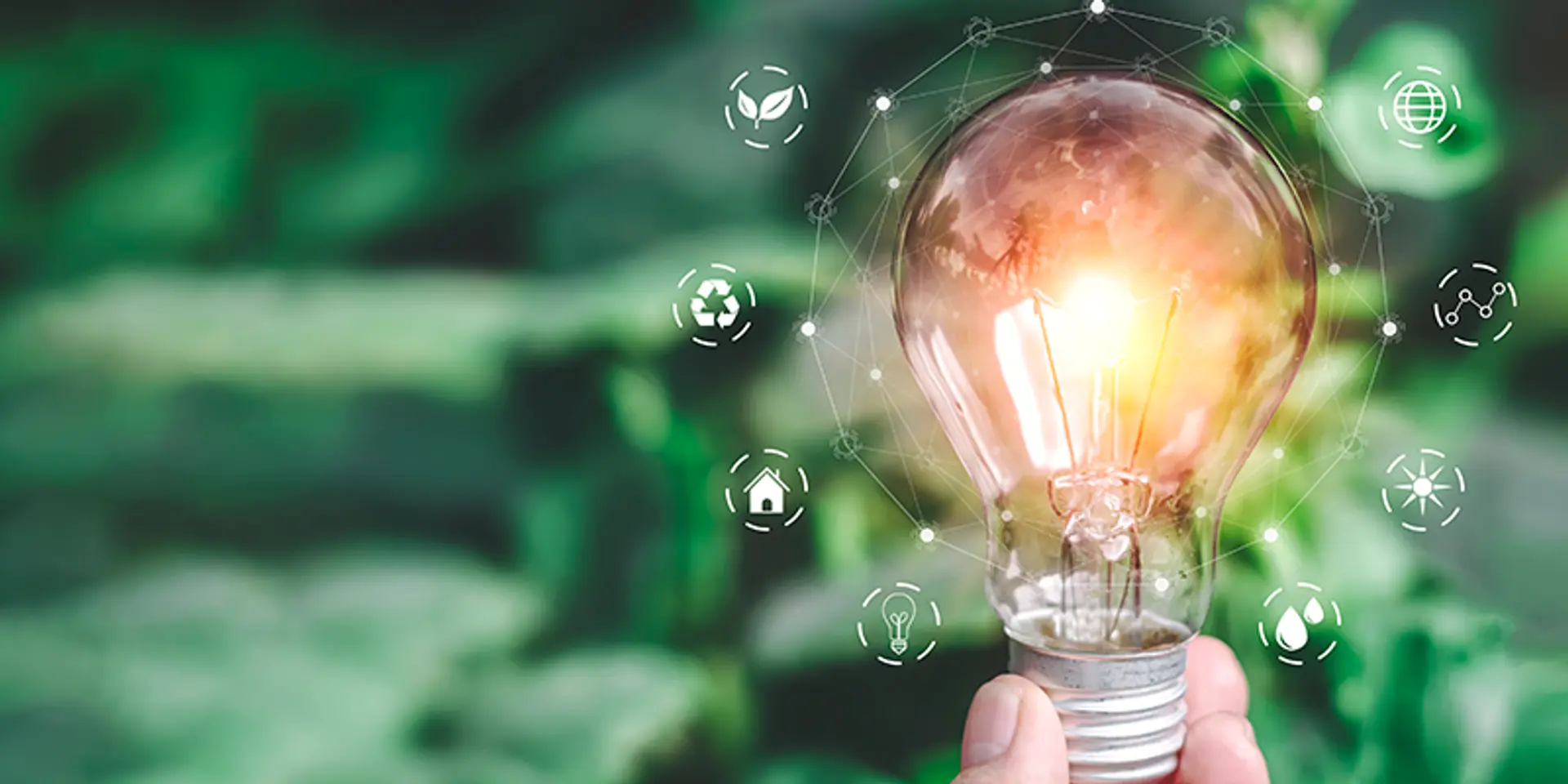SBI and EIB to pump €100M in SMEs focused on climate change, sustainability