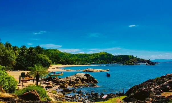 Beach and coconut trees in Gokarna beach