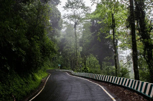 a road through lolegaon forest