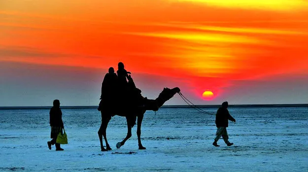 two people walking with a camel
