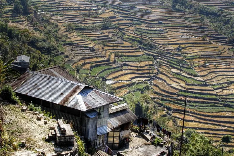 Khonoma village in Nagaland