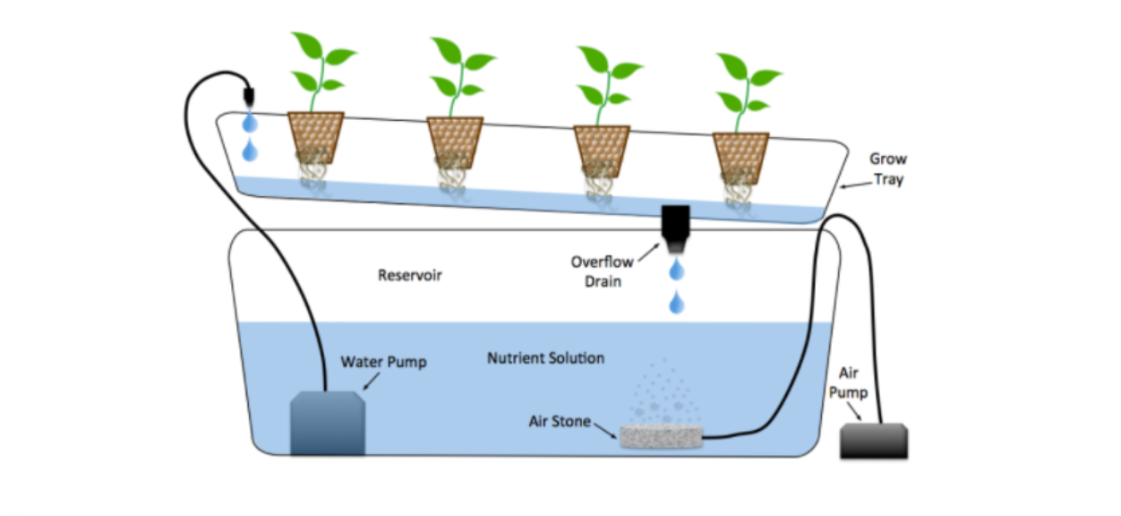 Rise Hydroponics