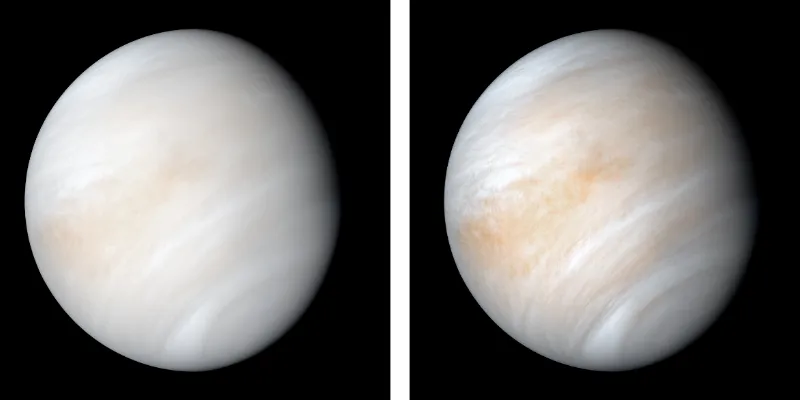 Venus, NASA image