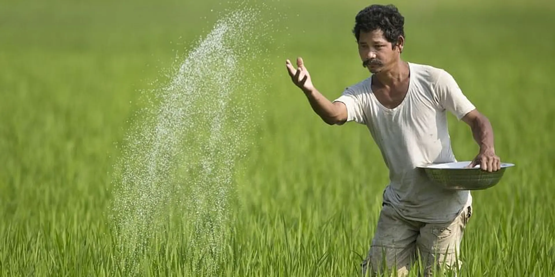Government spending over Rs 6.5 lakh Cr annually on agriculture, farmers: PM