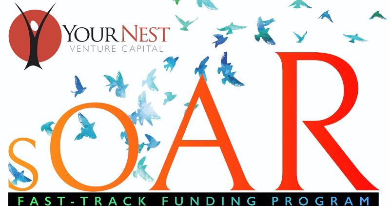 YourNest launches fast-track funding plan for early-stage startups

