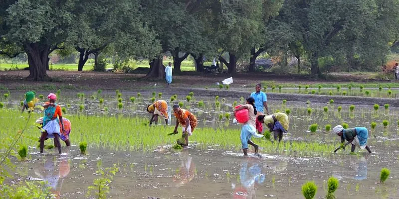 Samunnati