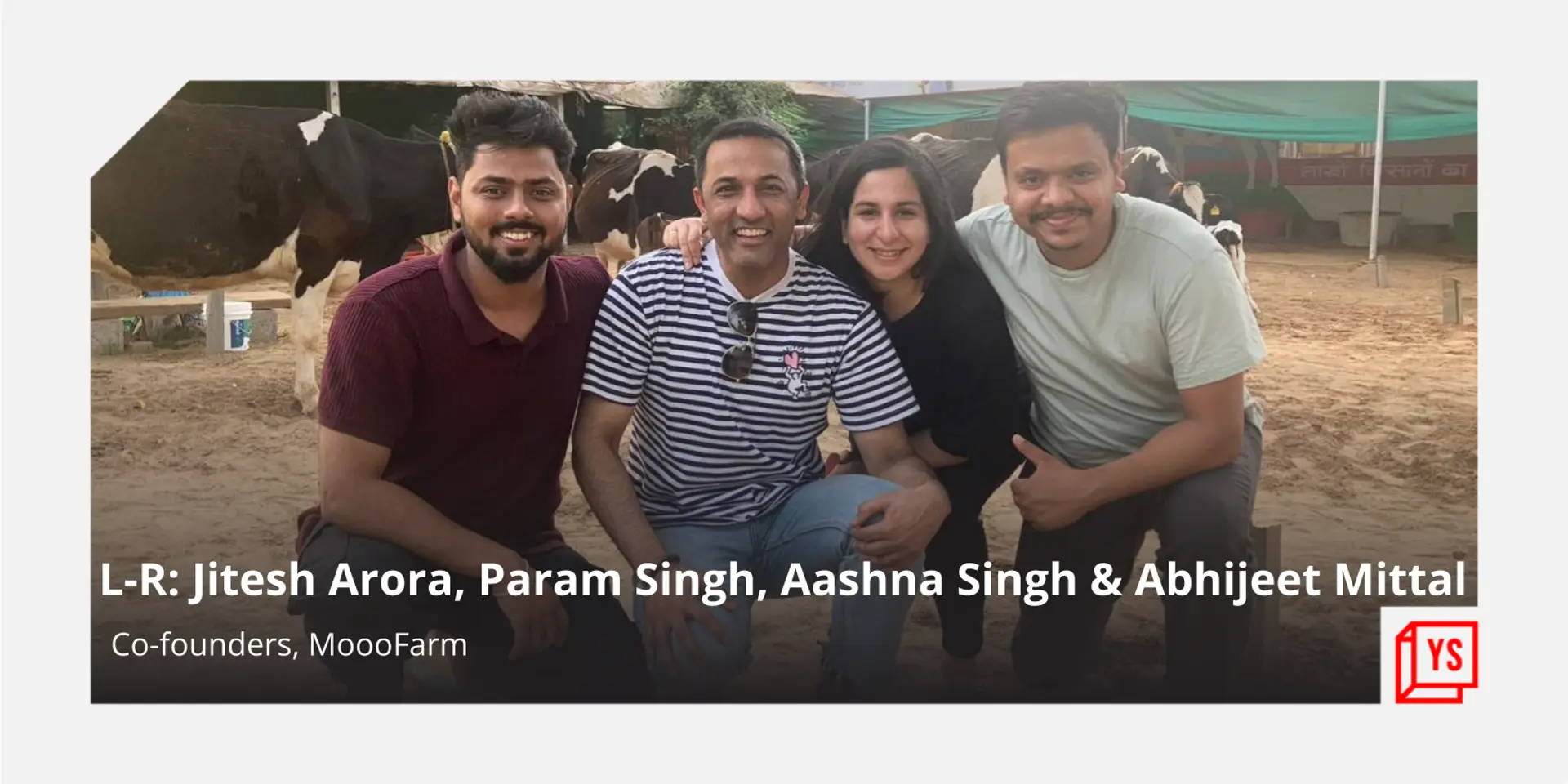 Cattle trade via app: How MoooFarm uses tech to help dairy farmers connect