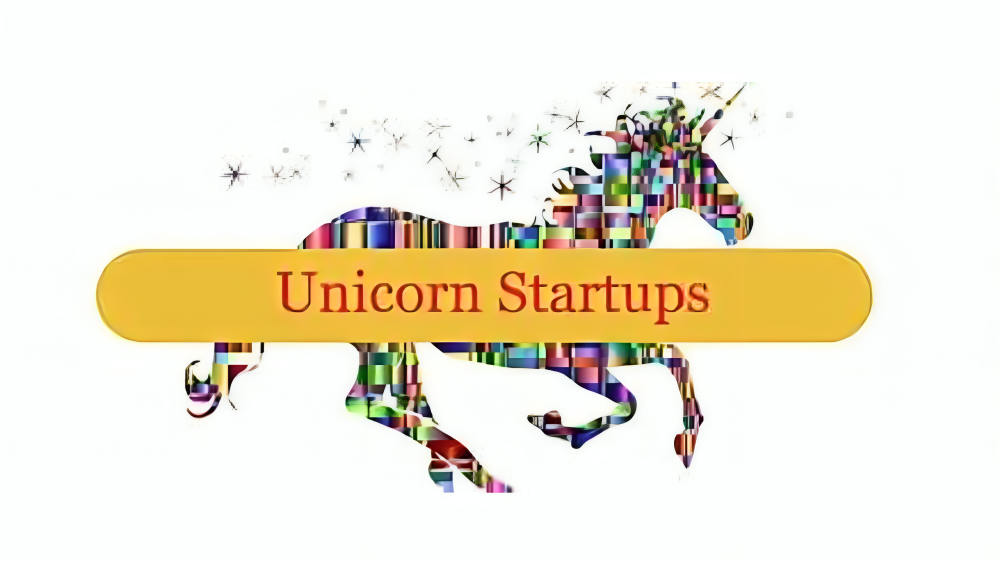 Focus: Secret behind the success of unicorn entrepreneurs