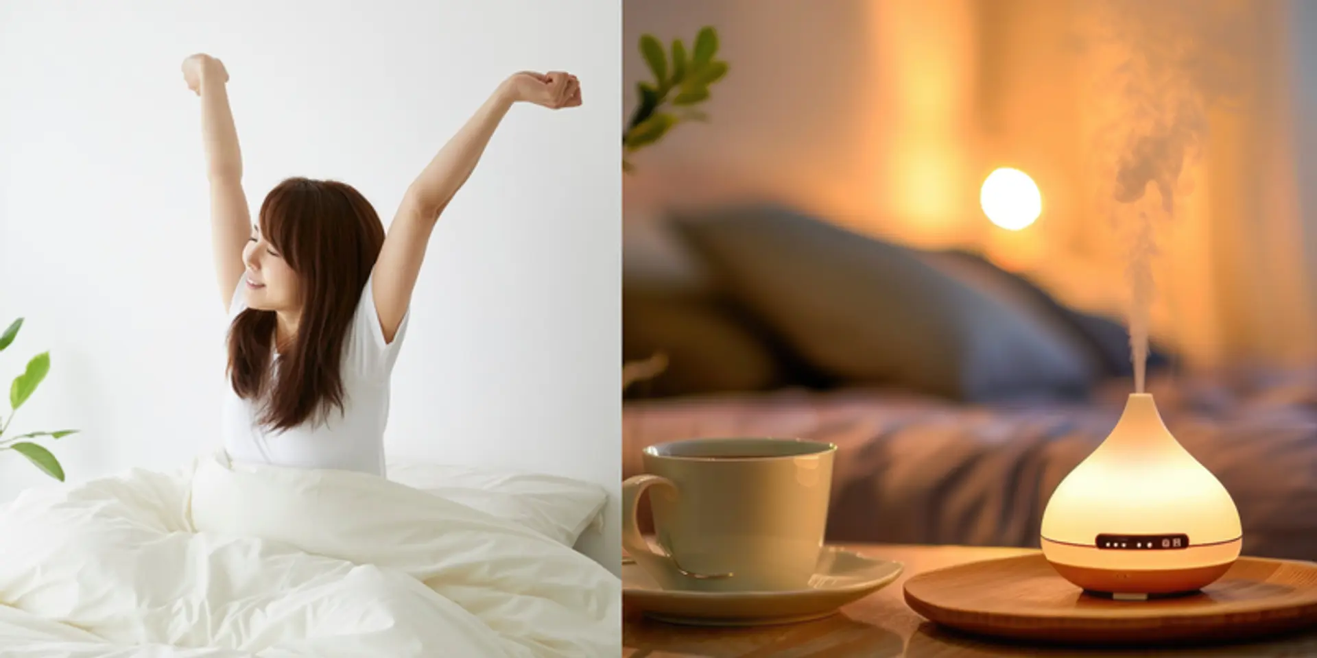 Morning vs night routines: Which boosts productivity?
