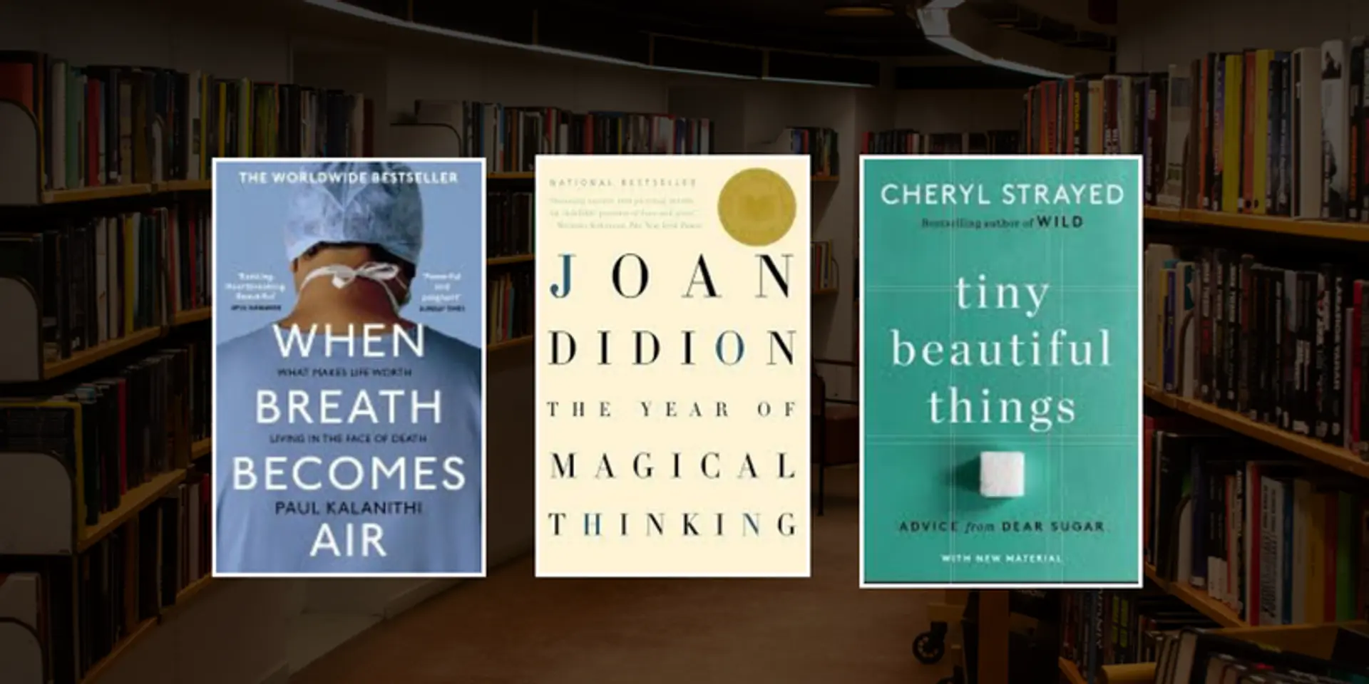 5 Comforting books for grief, heartbreak, and hard times