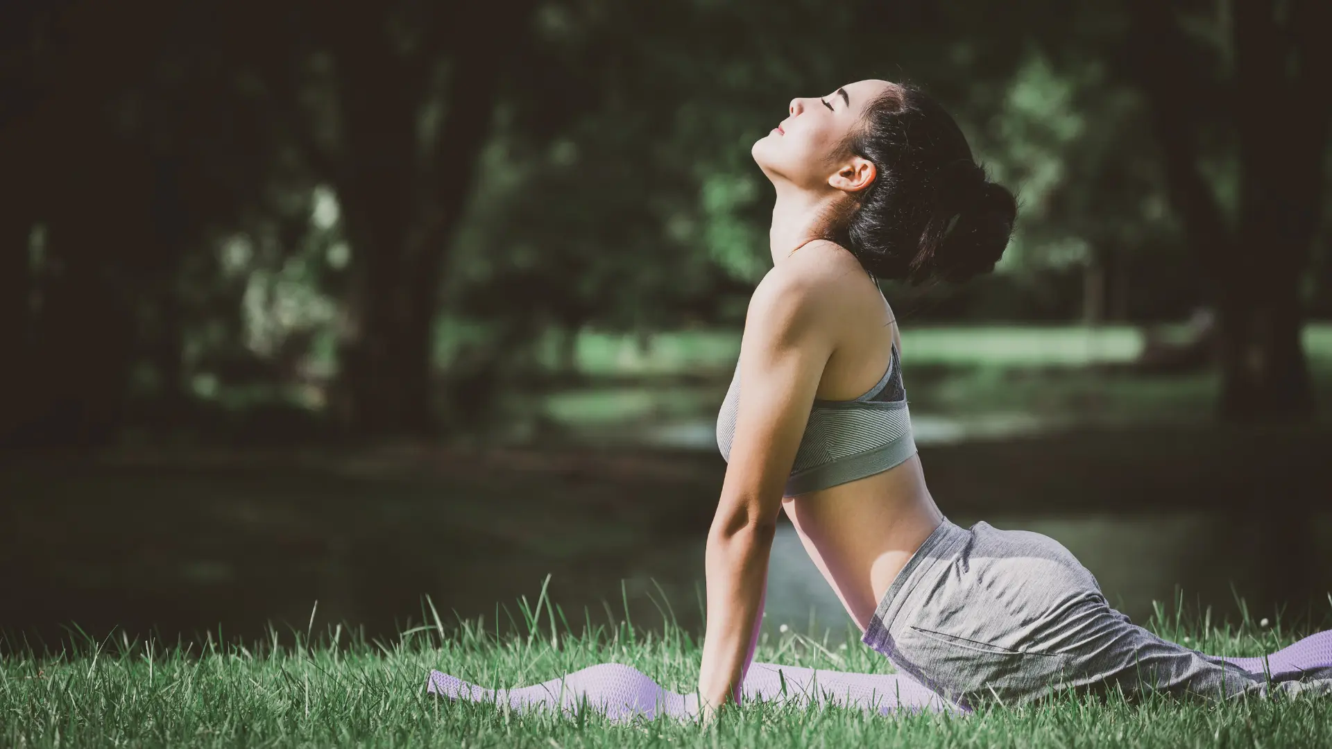 Discover Shukan: Japan’s secret to calm, daily balance