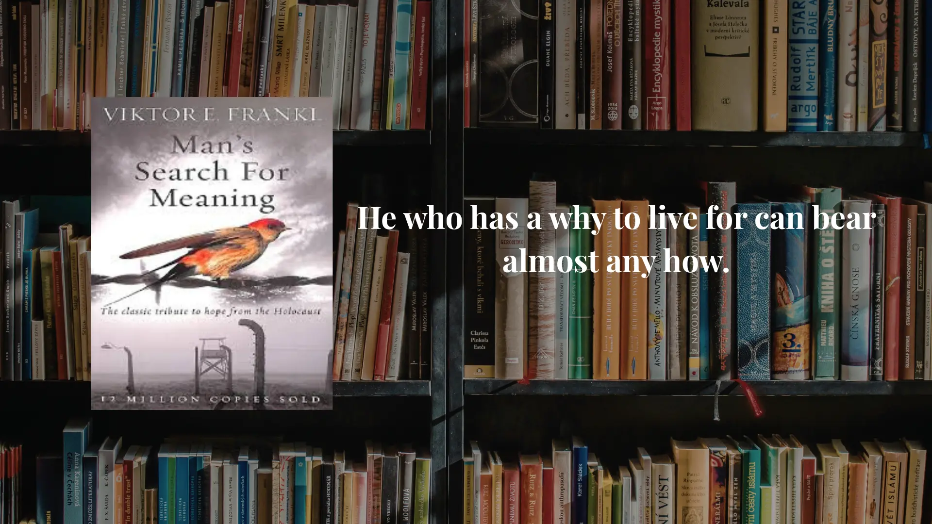7 Deep quotes from the book Man’s Search for Meaning
