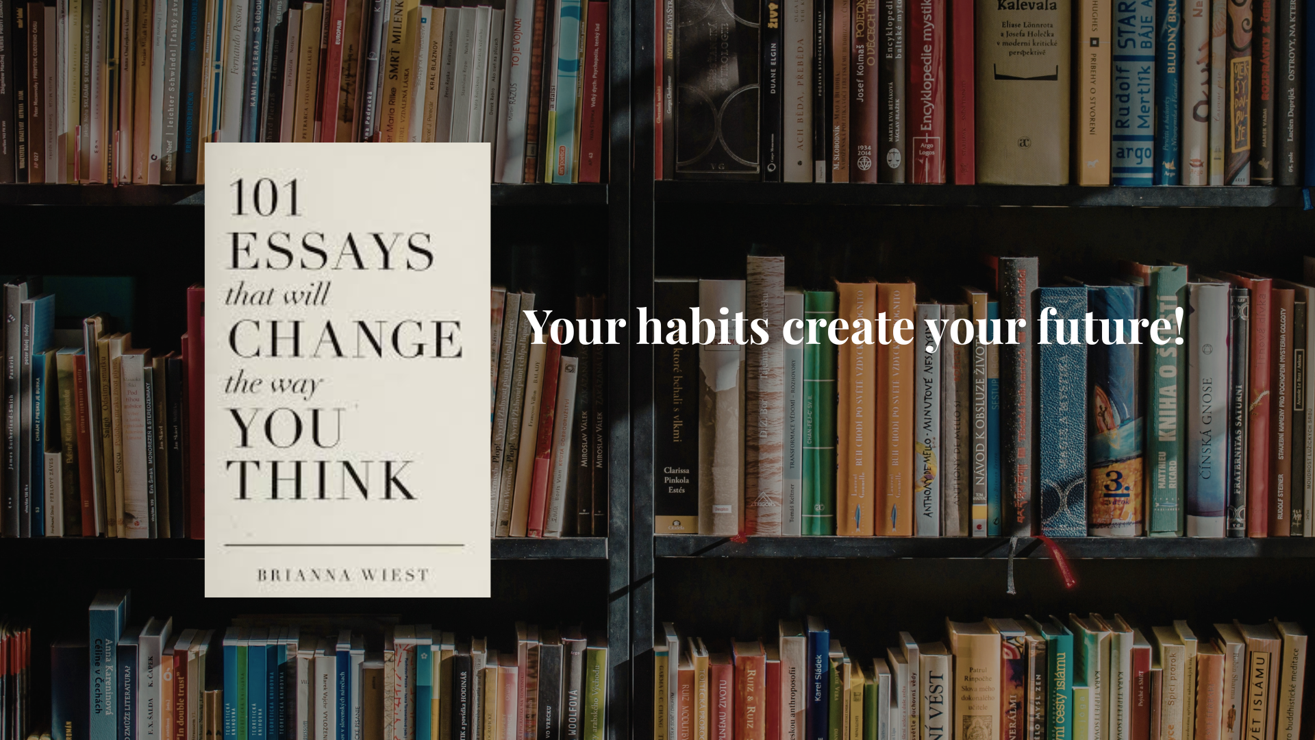 5 Quotes from 101 Essays That Will Change the Way You Think