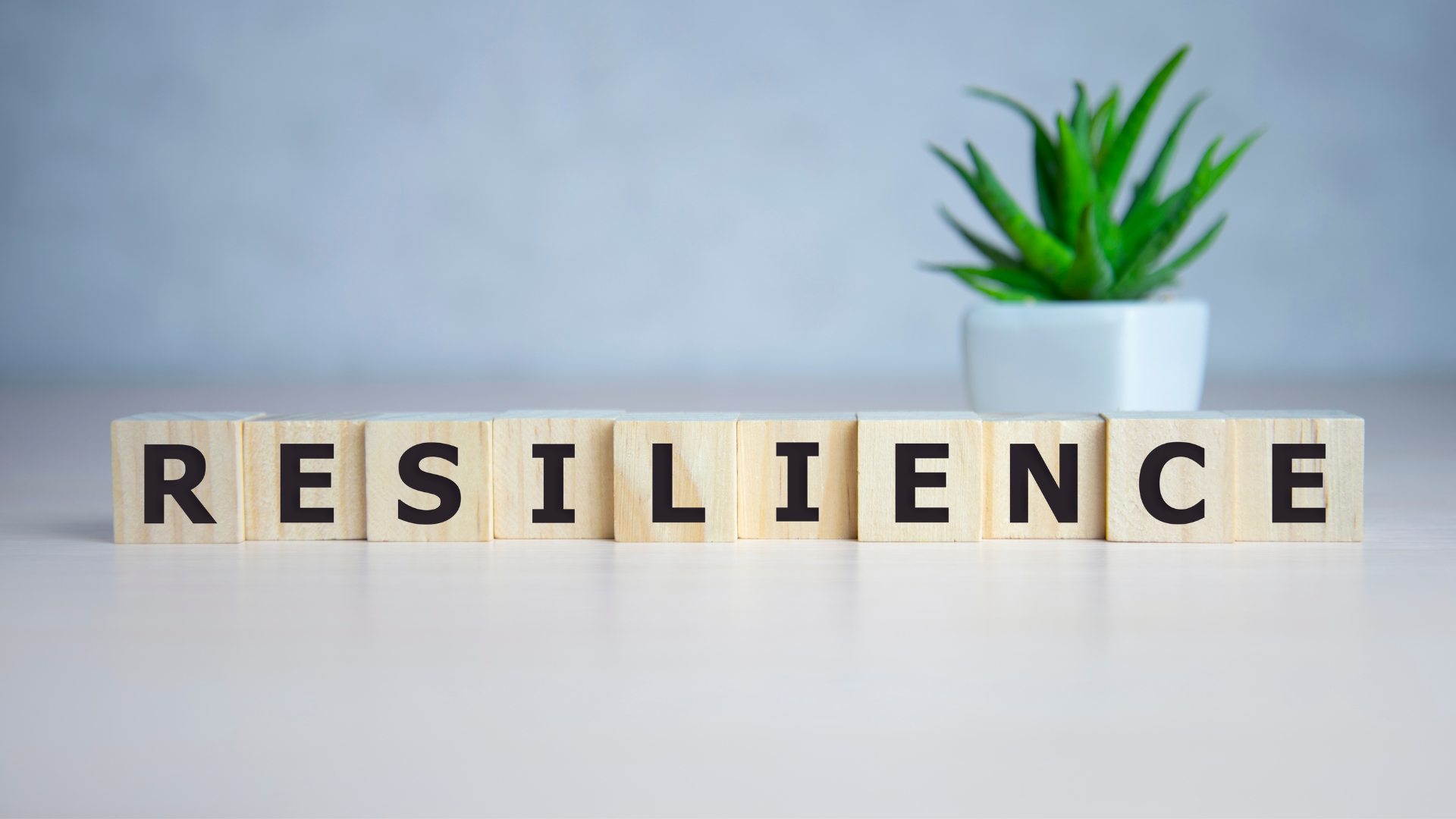 7 Books that explain why some people seem naturally resilient