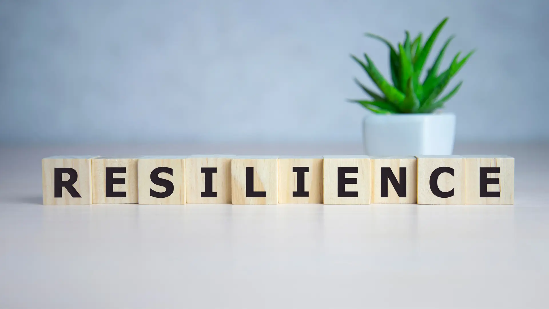 7 Books that explain why some people seem naturally resilient