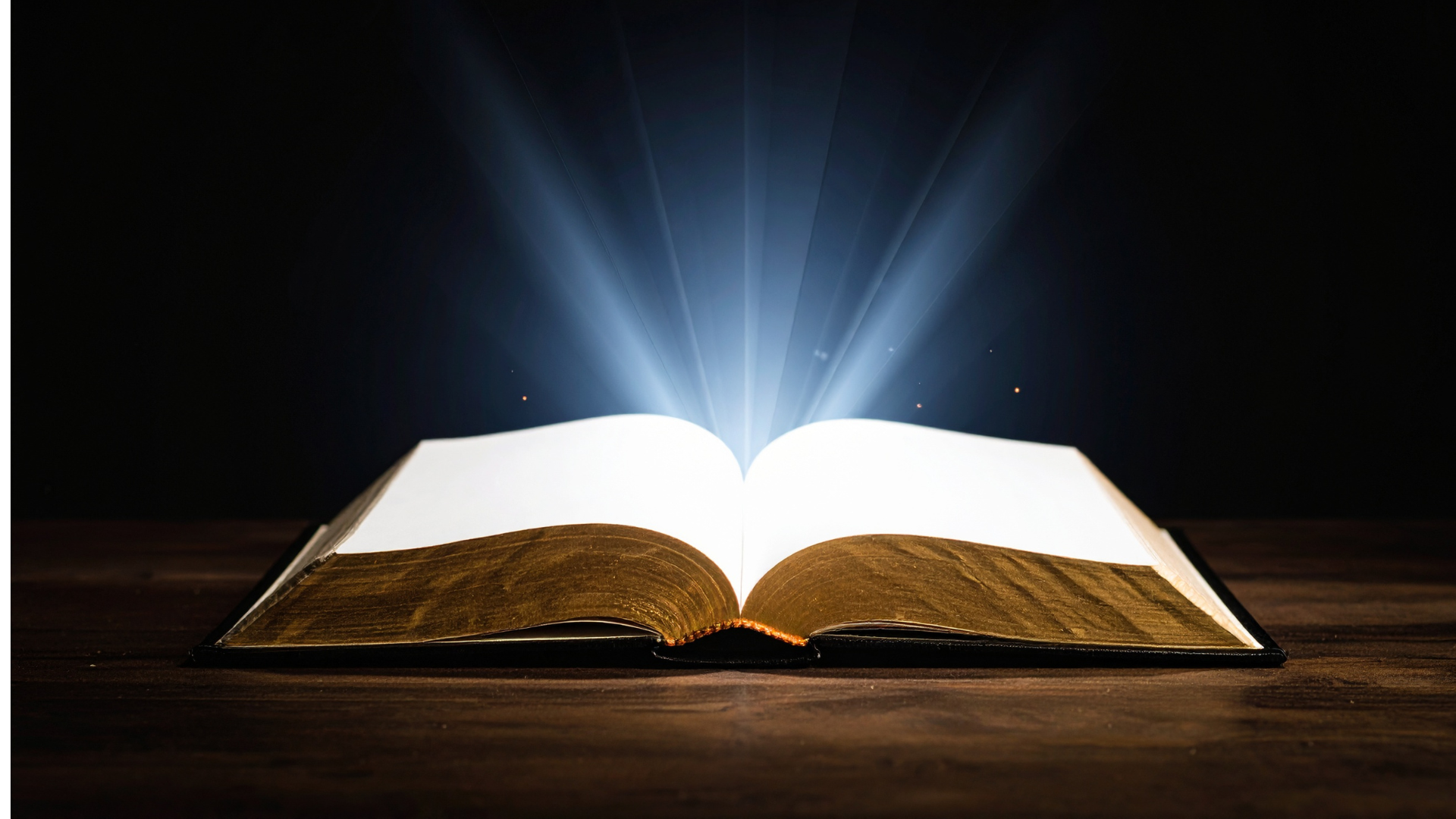 7 Books that uncover truths you were never meant to know