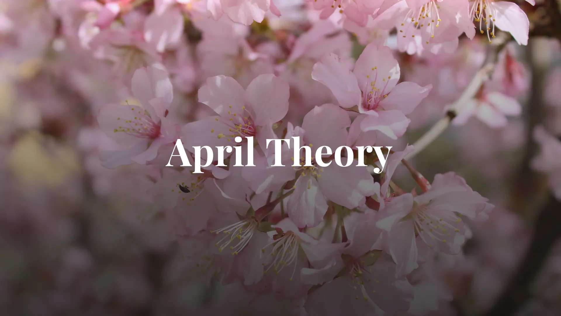 April Theory: What is it and how to apply it to your life?