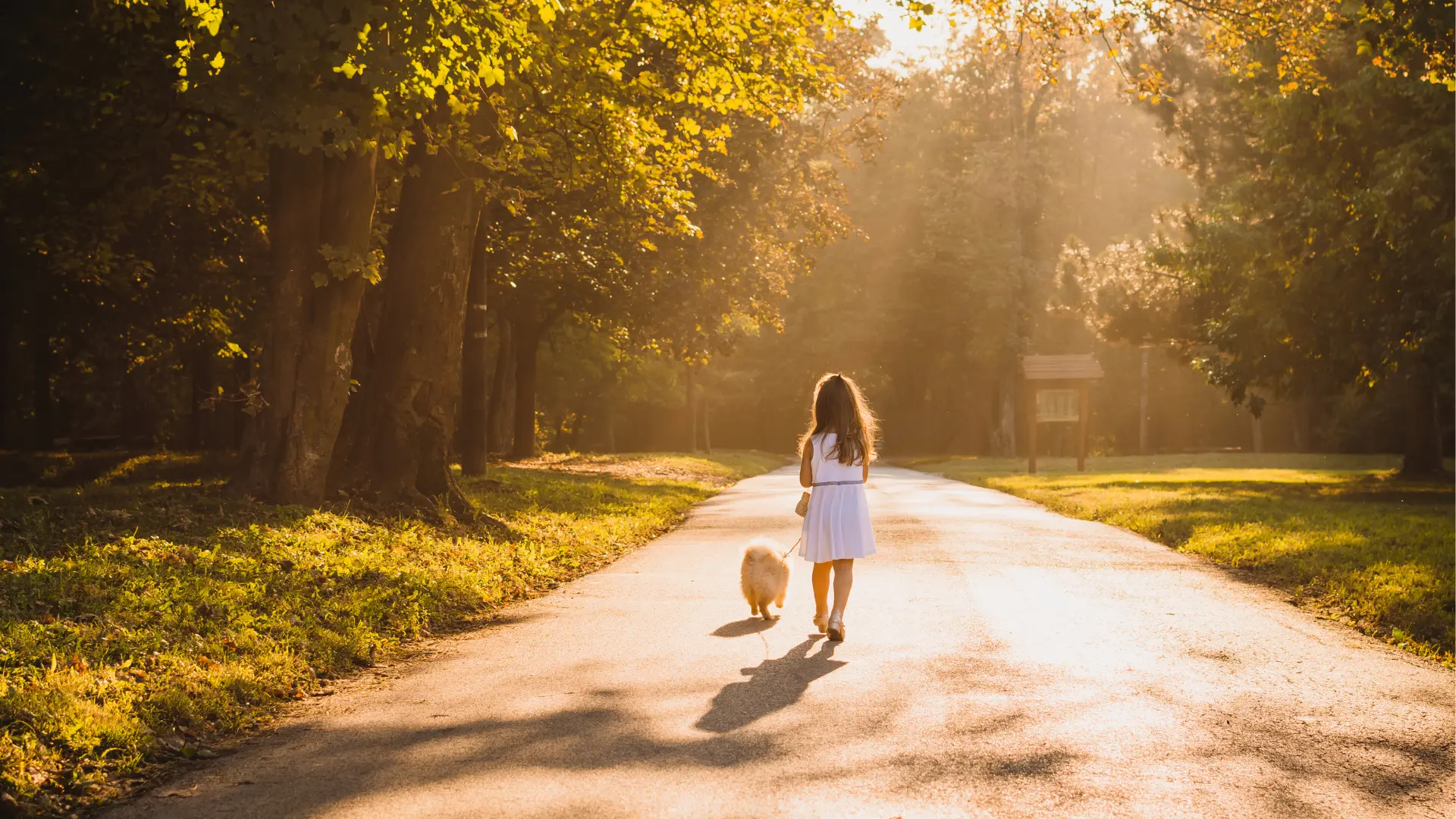 7 powerful reasons to embrace the low-key life today