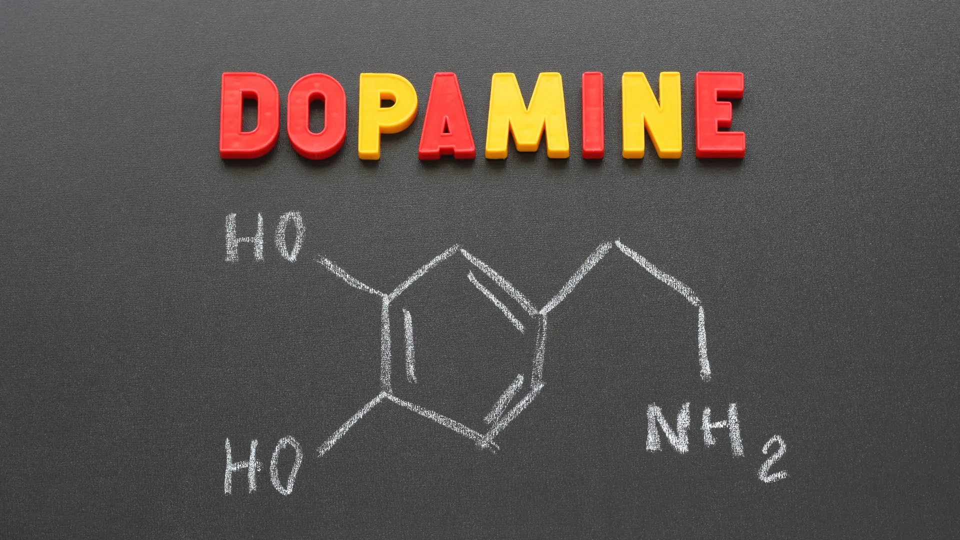 How dopamine levels shape motivation and productivity