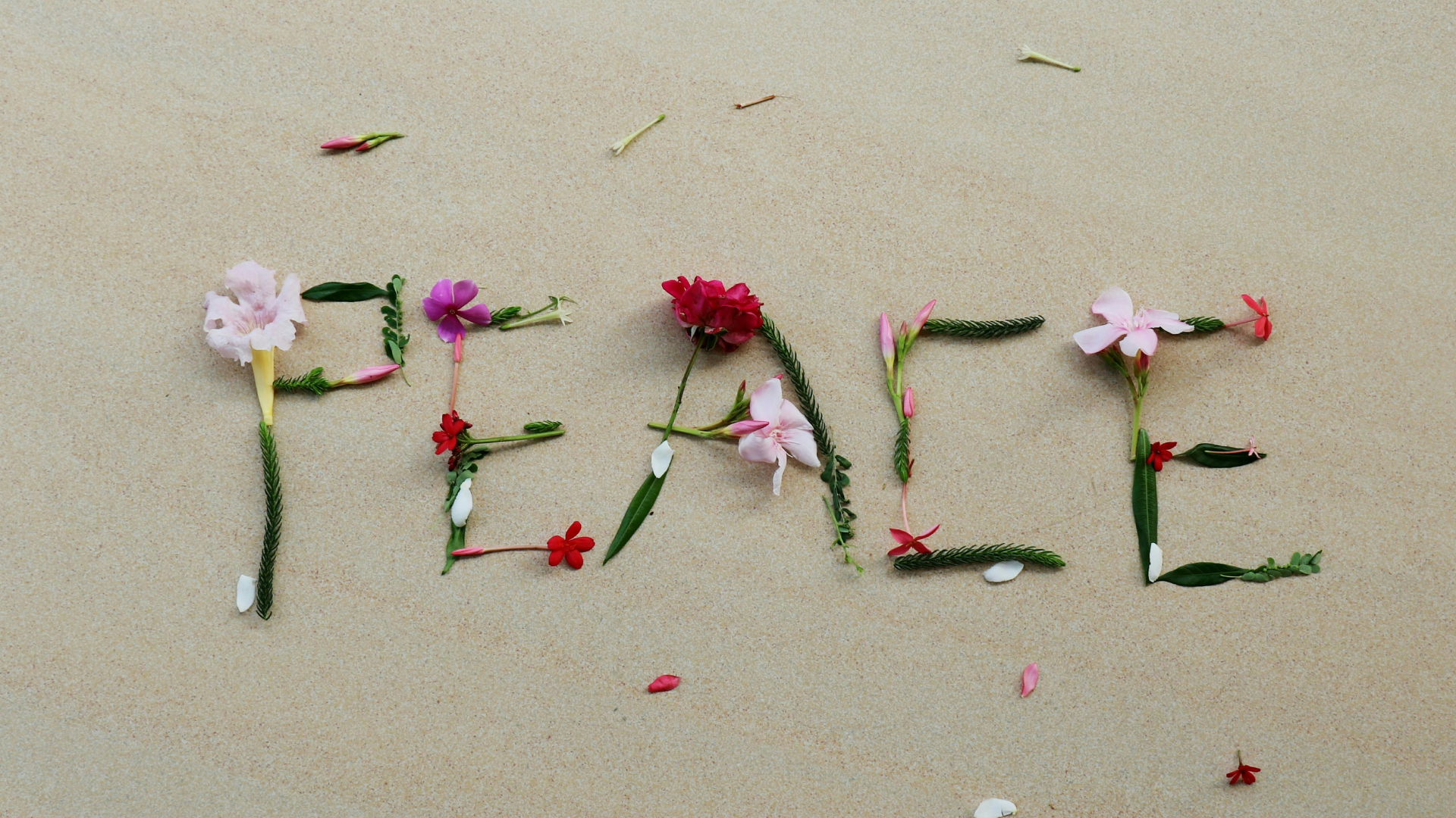 Why valuing peace over productivity changes everything