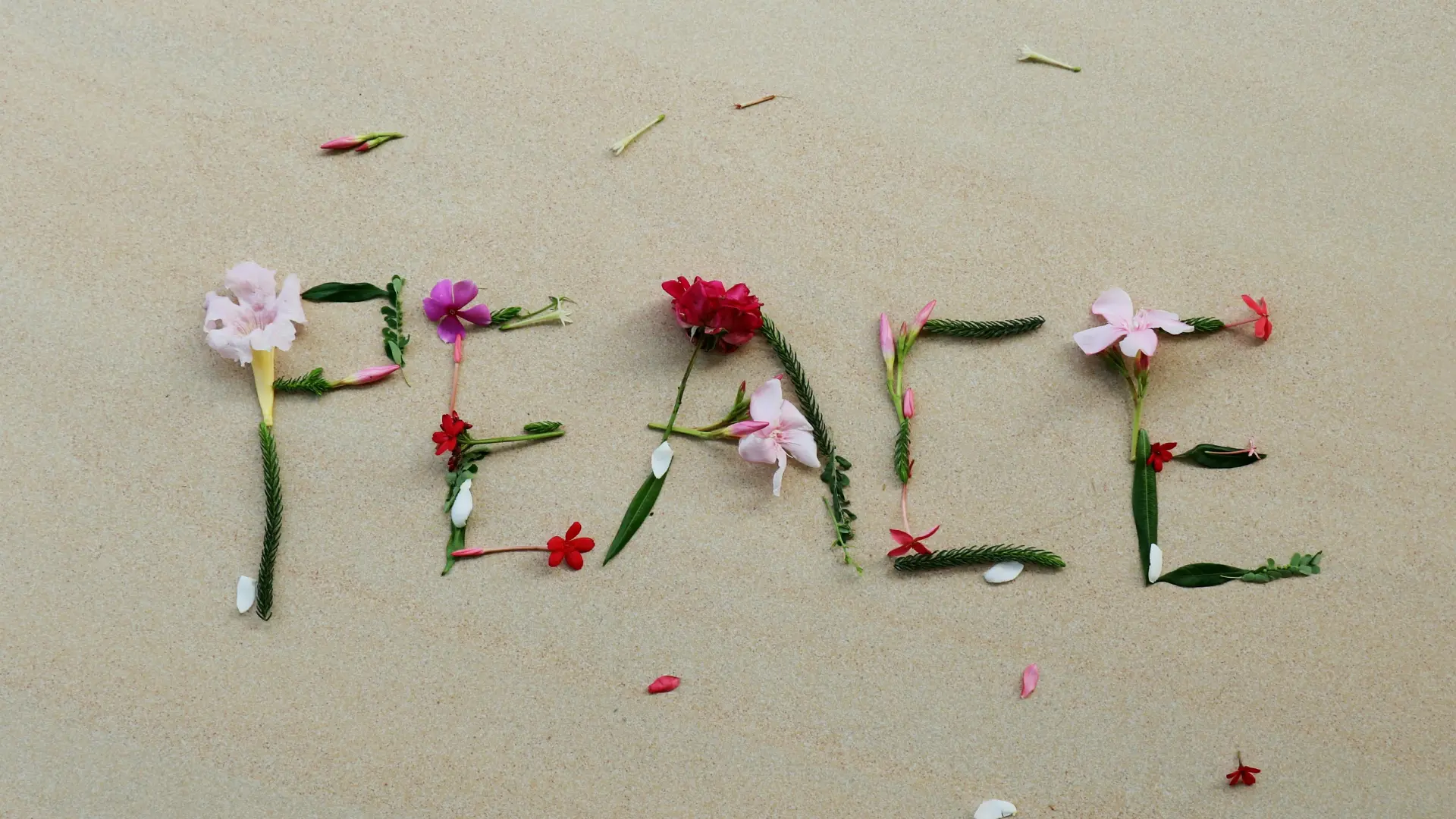 Why valuing peace over productivity changes everything