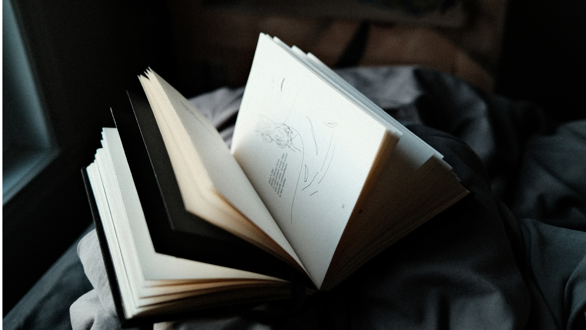 5 Books that explore why humans struggle with enough