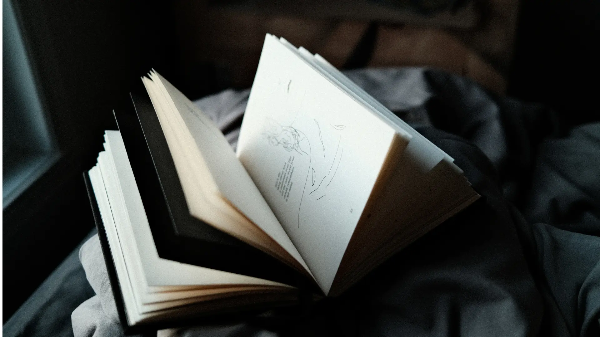 5 Books that explore why humans struggle with enough