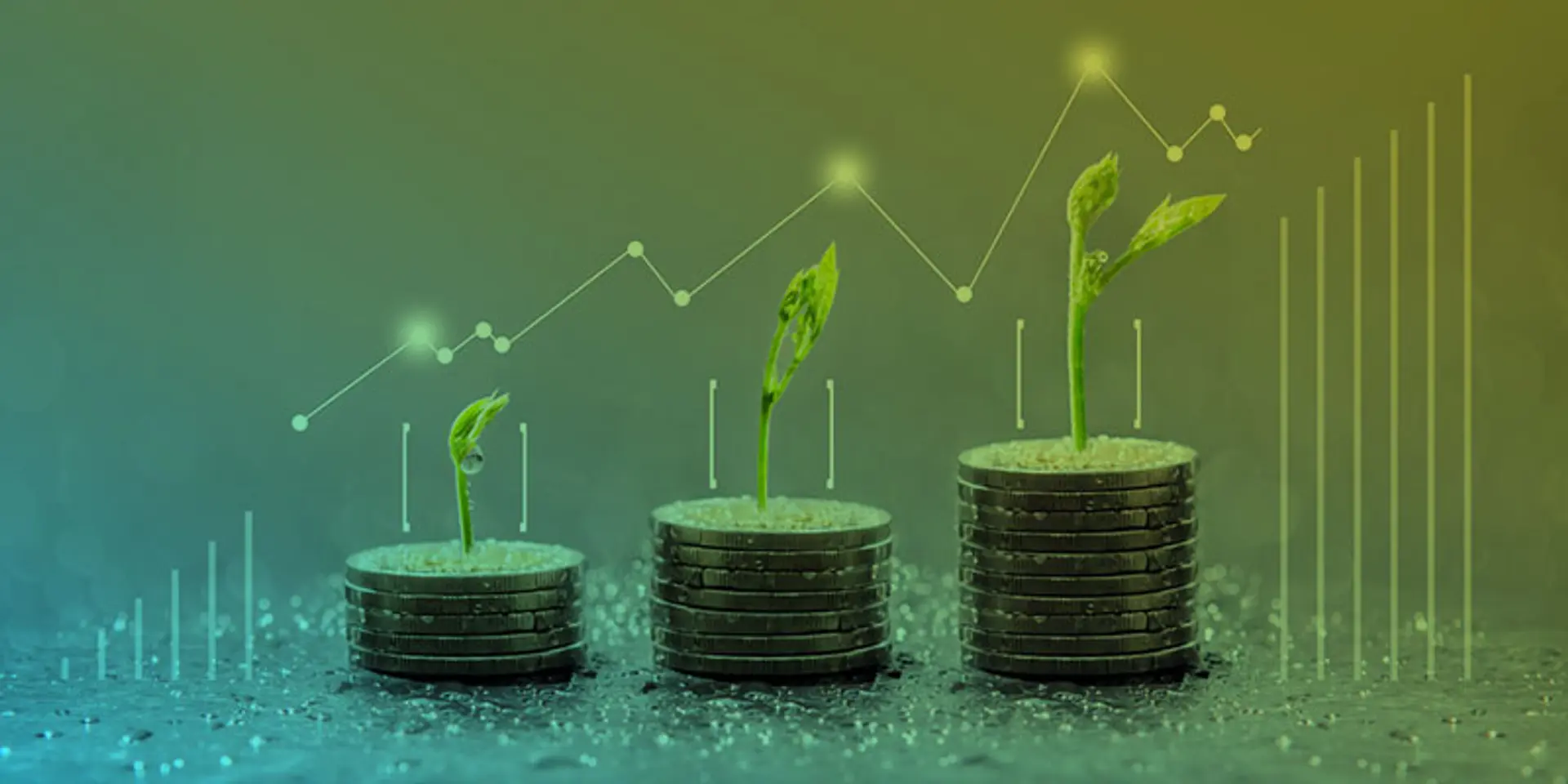 Citykart raises Rs 538 Cr in Series B round led by TPG NewQuest, A91 Partners