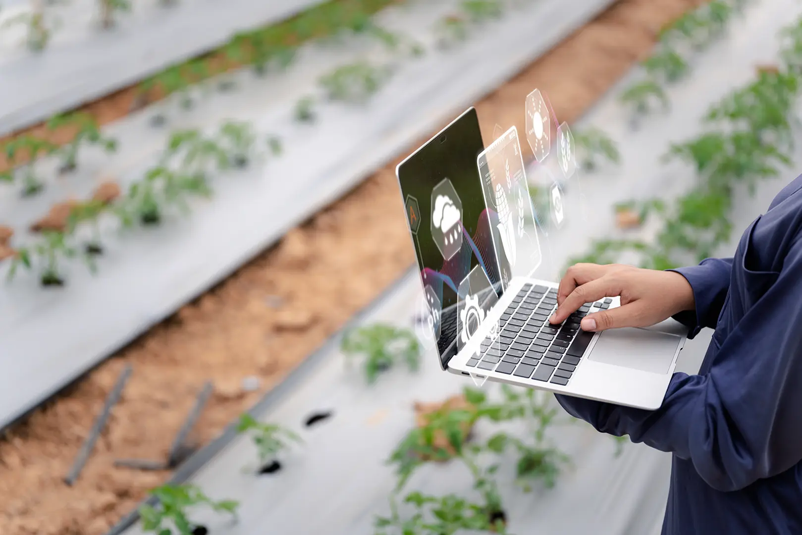 Govt plans for agriculture will fuel innovation and sustainable farming, say stakeholders in agritech industry