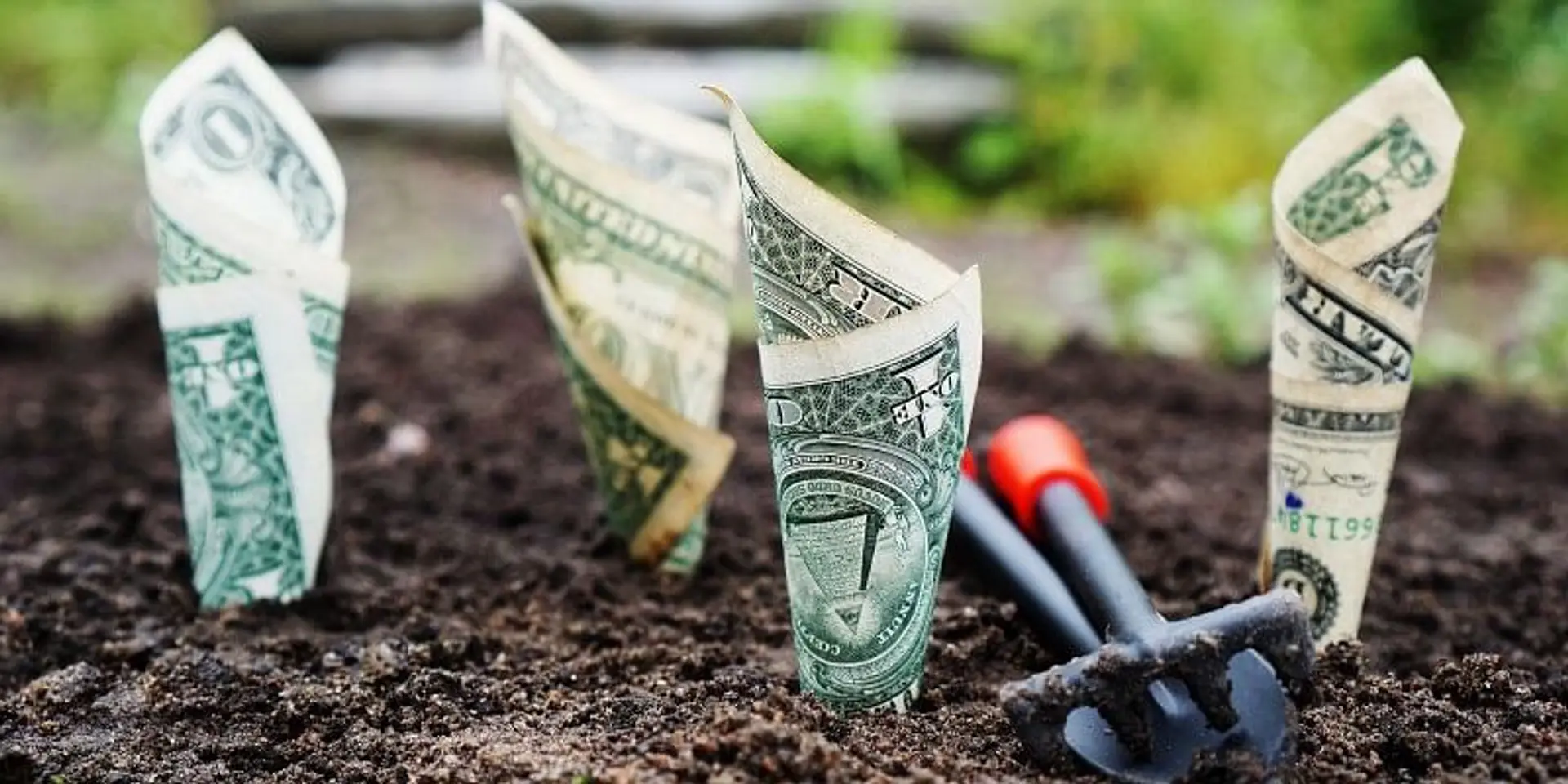 How to use the PERSISTENT network to launch your startup and scale