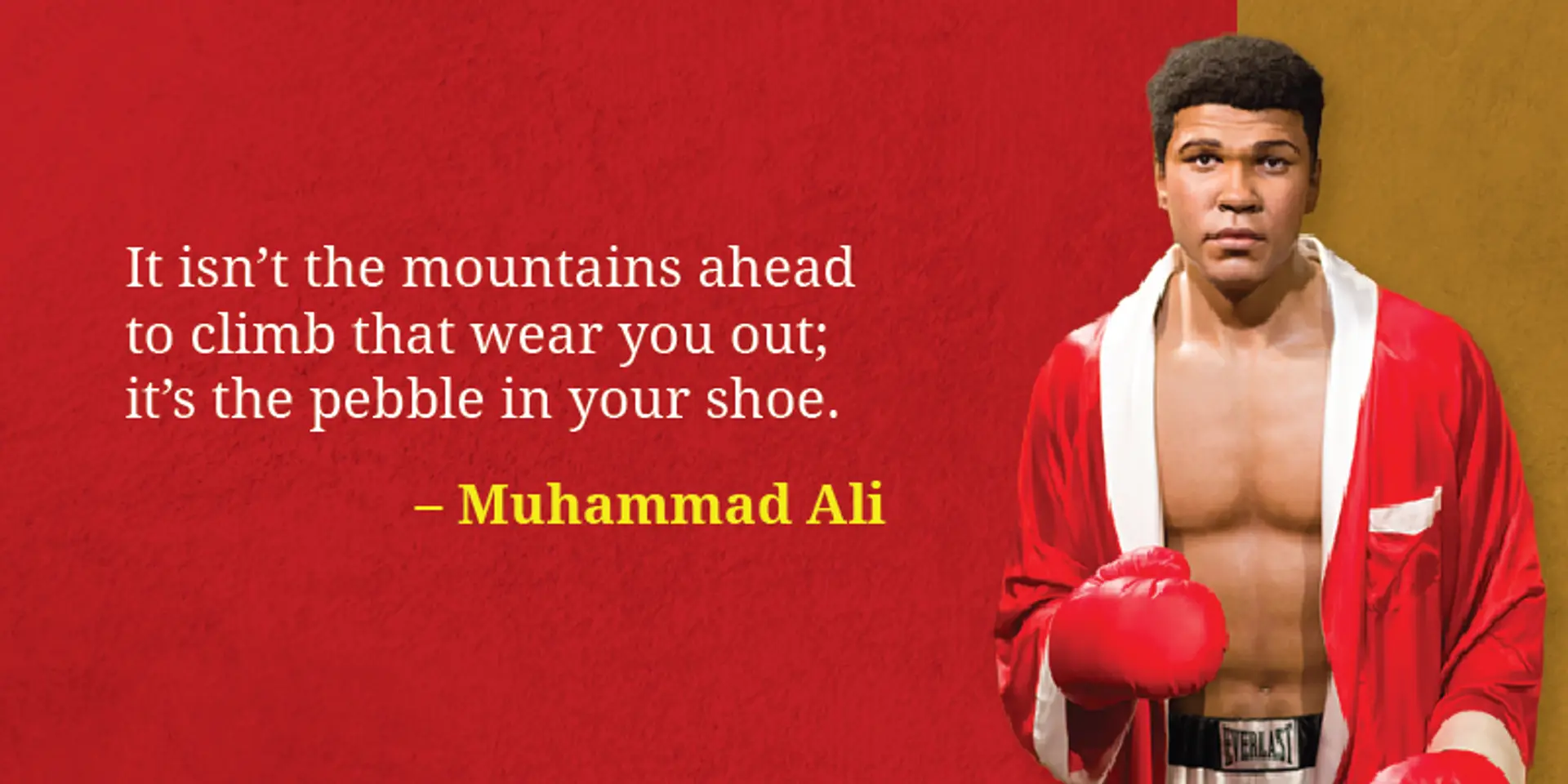 National Sports Day: 15 inspirational quotes from the greatest sportspersons of all time