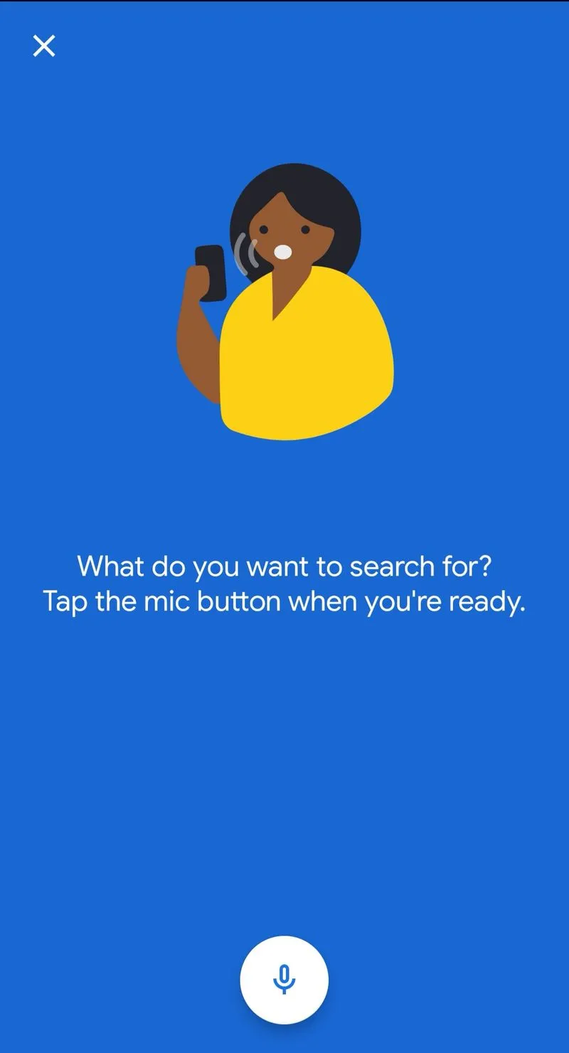 Google Go app