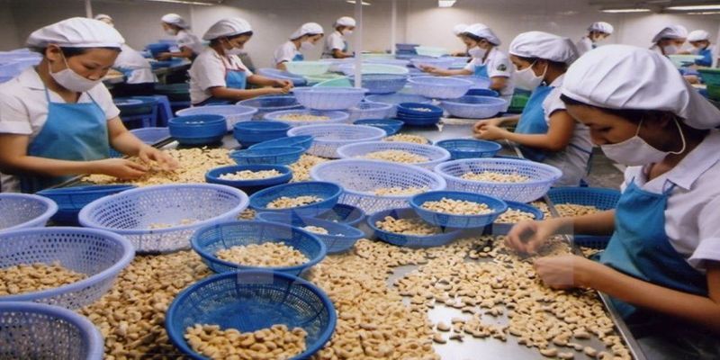 This agritech startup helps commodity farmers grow profits by 200 pc, and directly sell to Reliance, BigBasket, Grofers, others