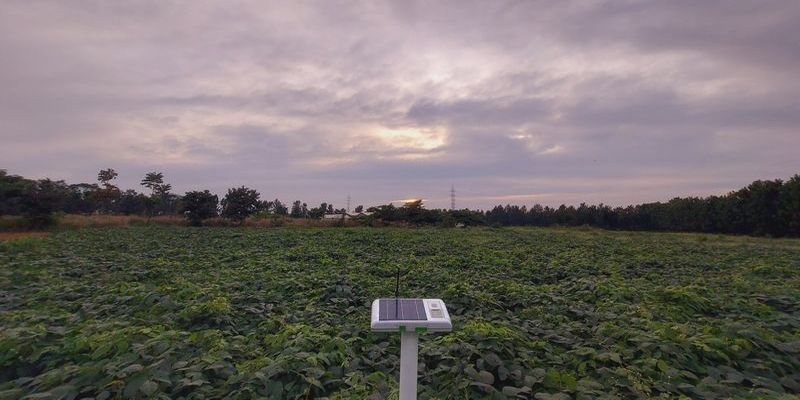 Farming on autopilot: Agritech startup Fasal uses IoT to help horticulture farmers go remote
