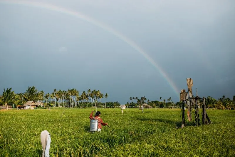 agritech startup AgriBazaar