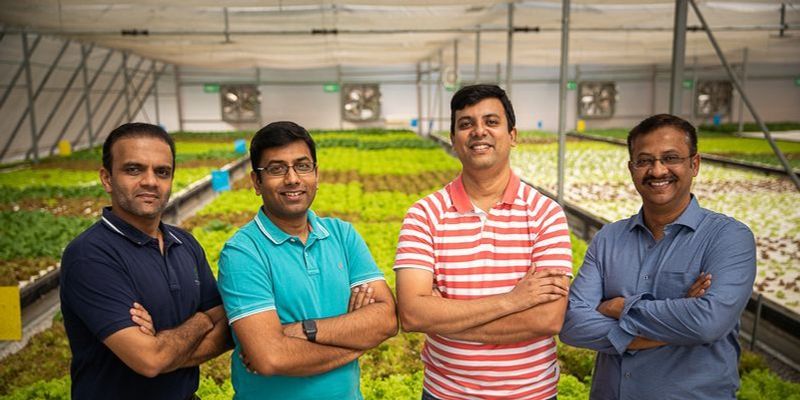 How four friends built a successful greenhouse farming startup from a Chikmagalur coffee estate