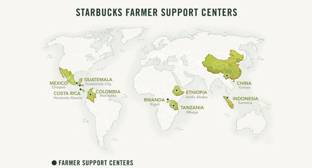 The Siren's Song: A Deep Dive into the Starbucks Phenomenon